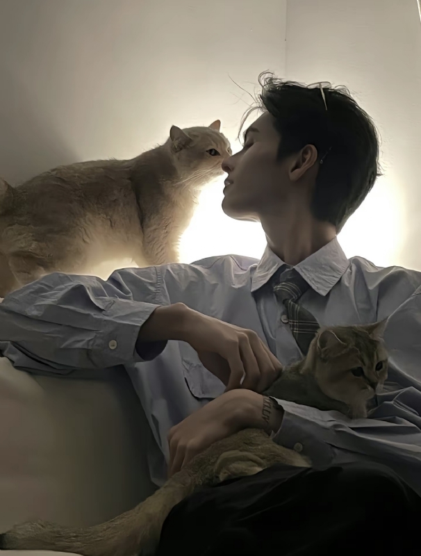 怪猫的第一张照片--江门上门女婿服务网